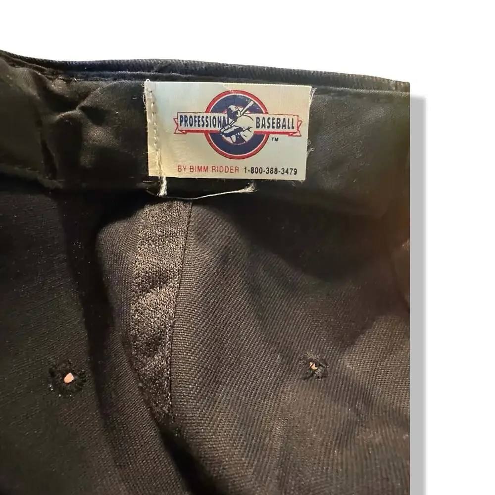 Professional Baseball by Bimm Ridder item description